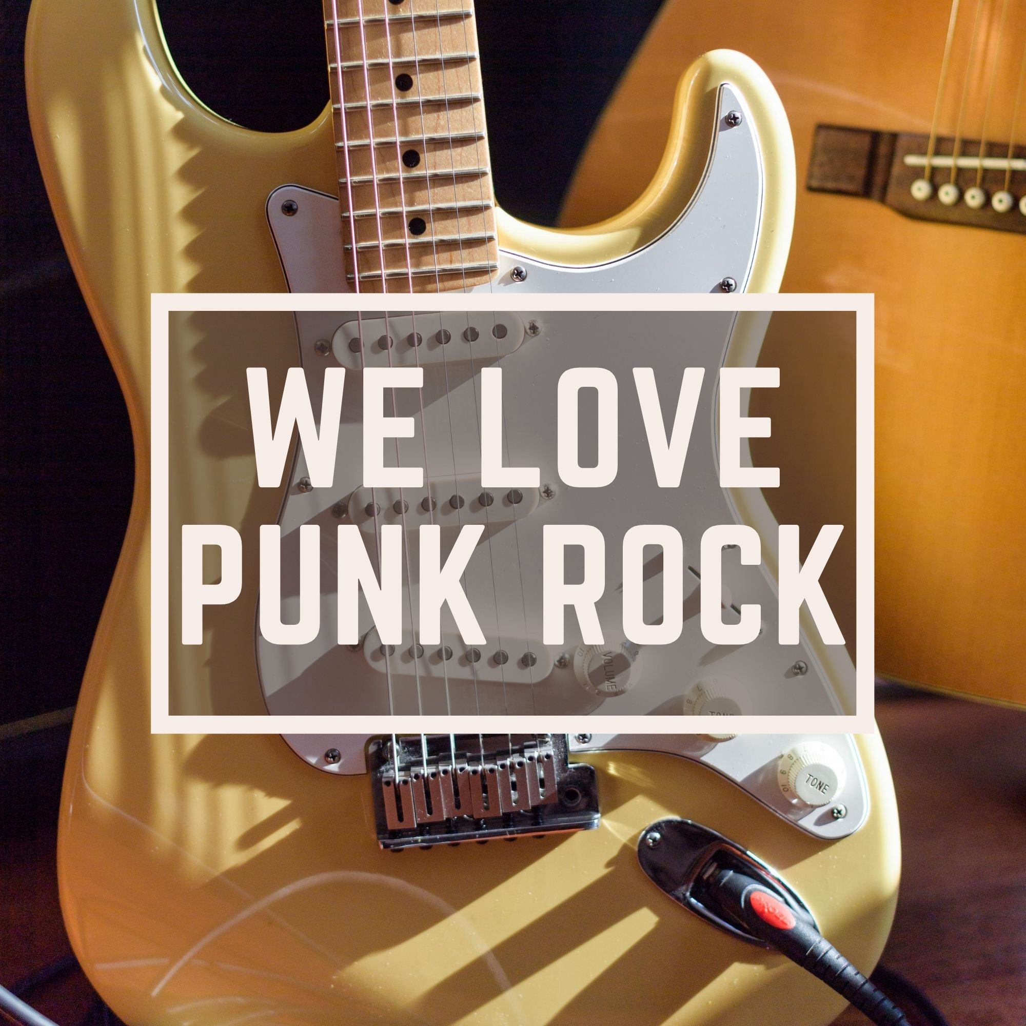 We Love Punk Rock