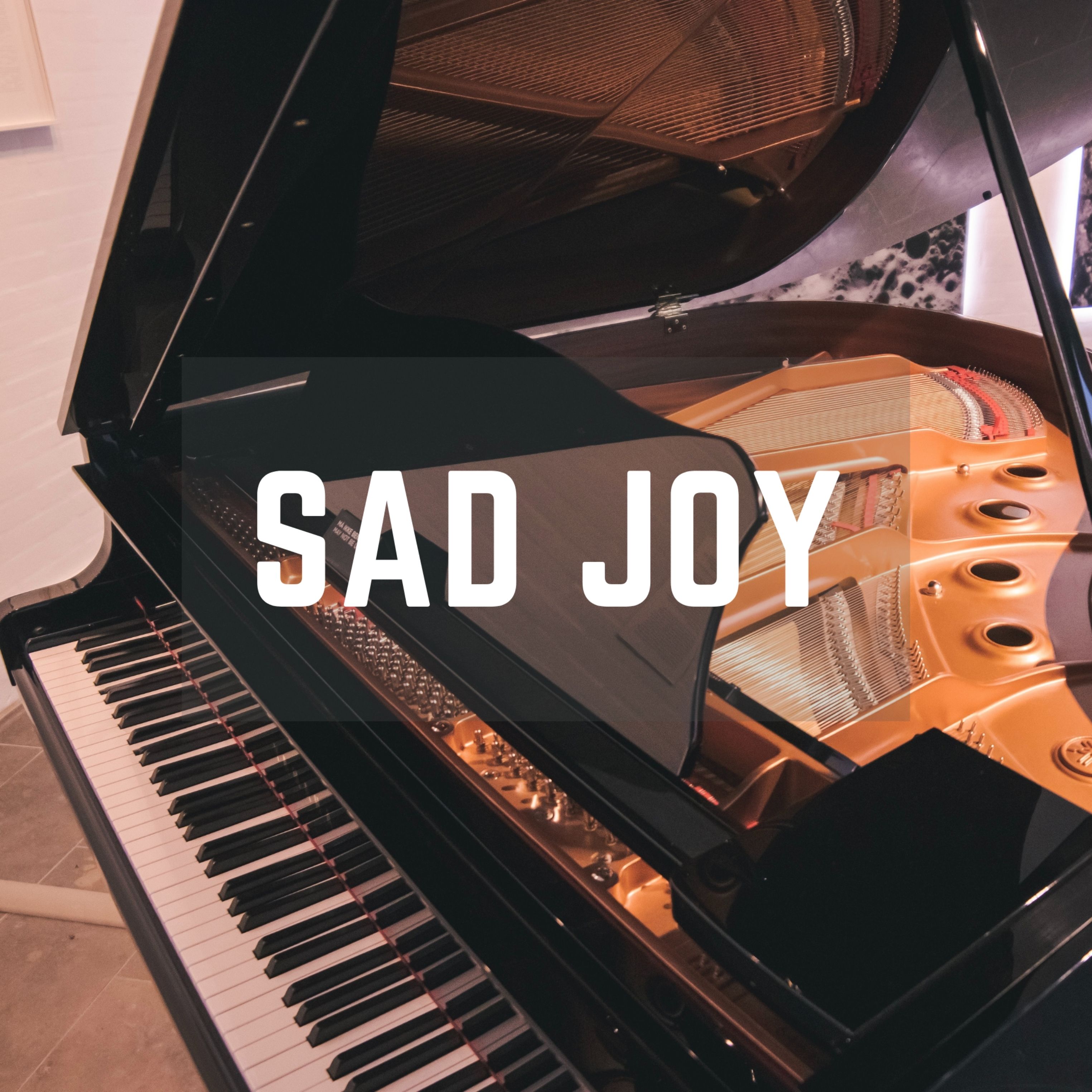 Sad Joy