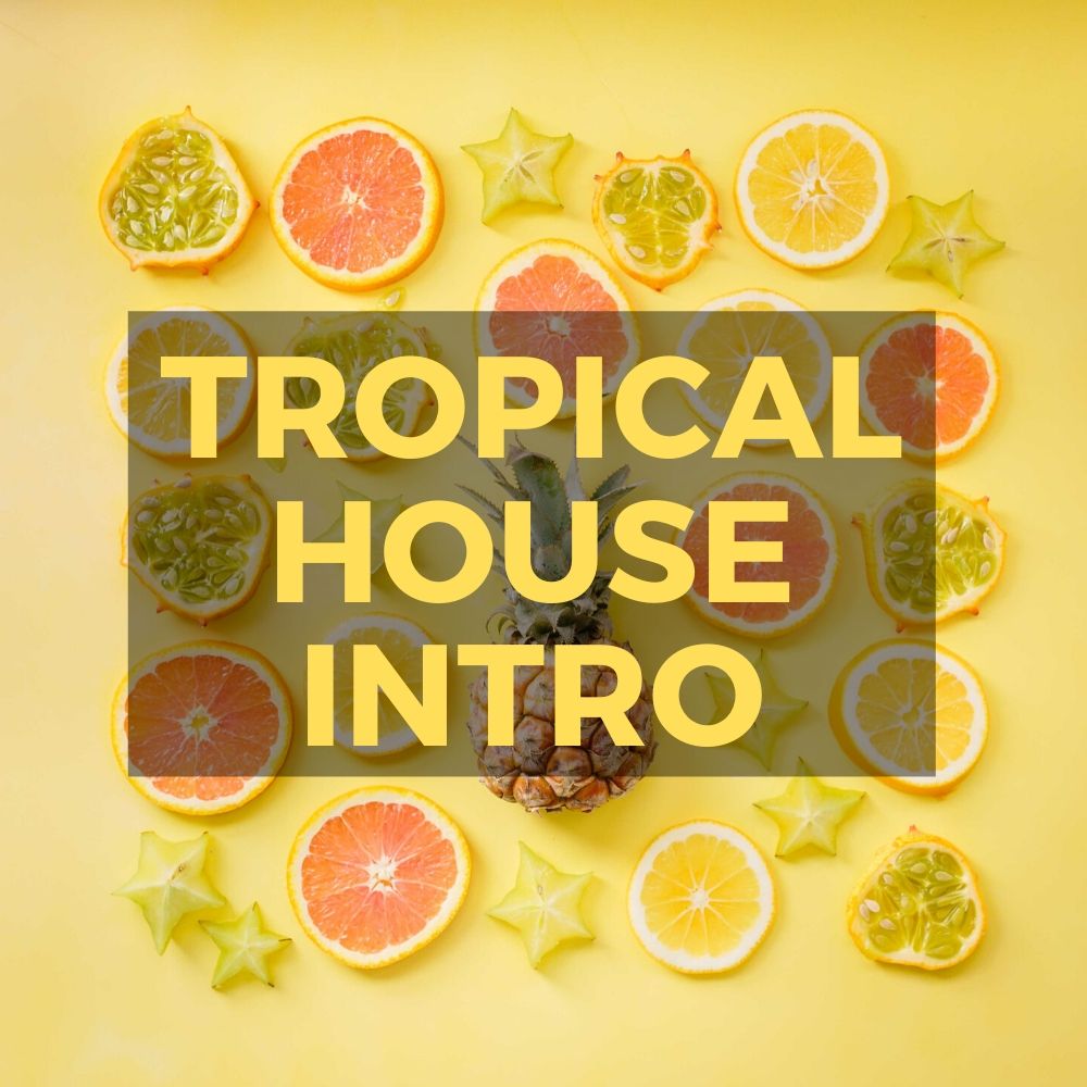 Tropical House Intro