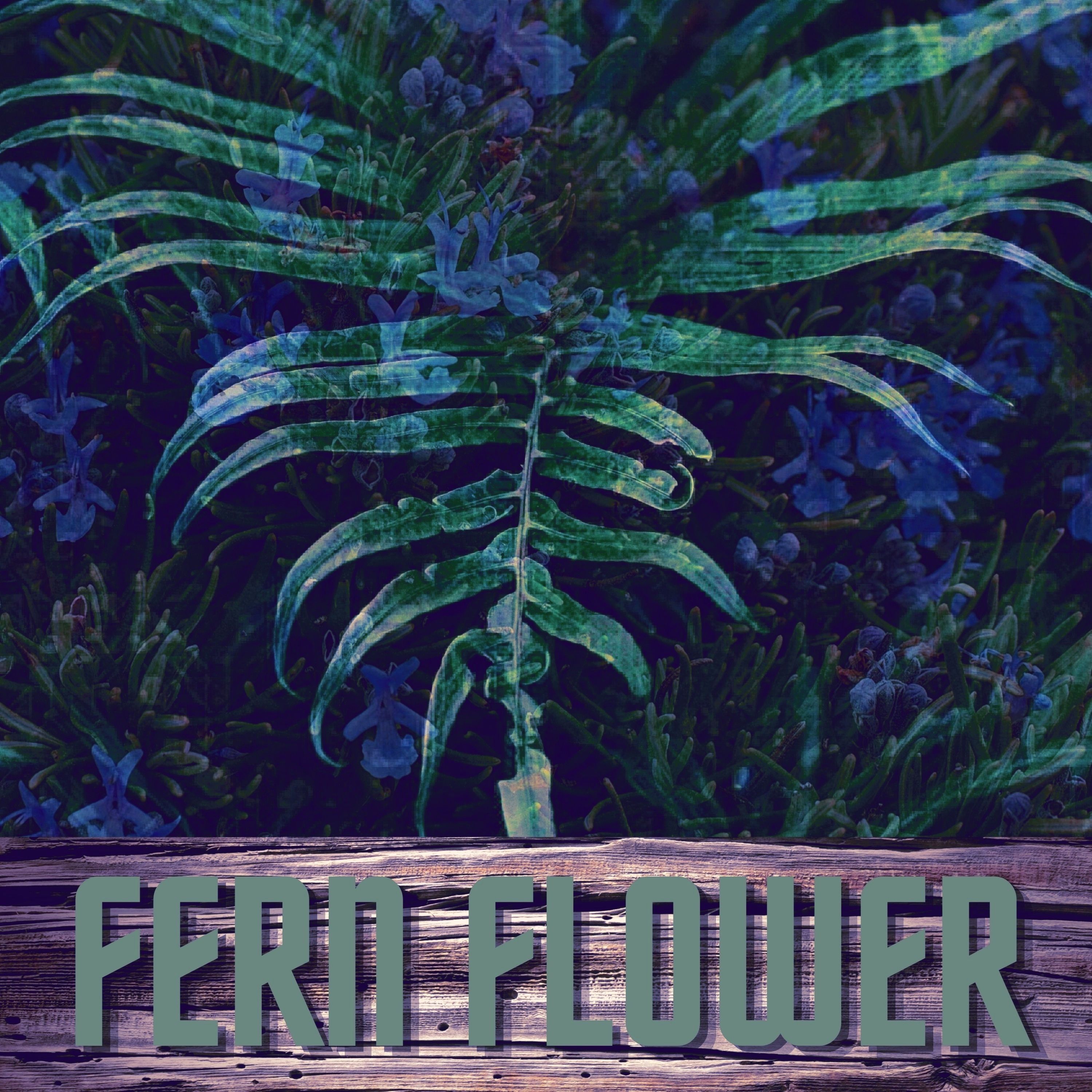 Fern Flower