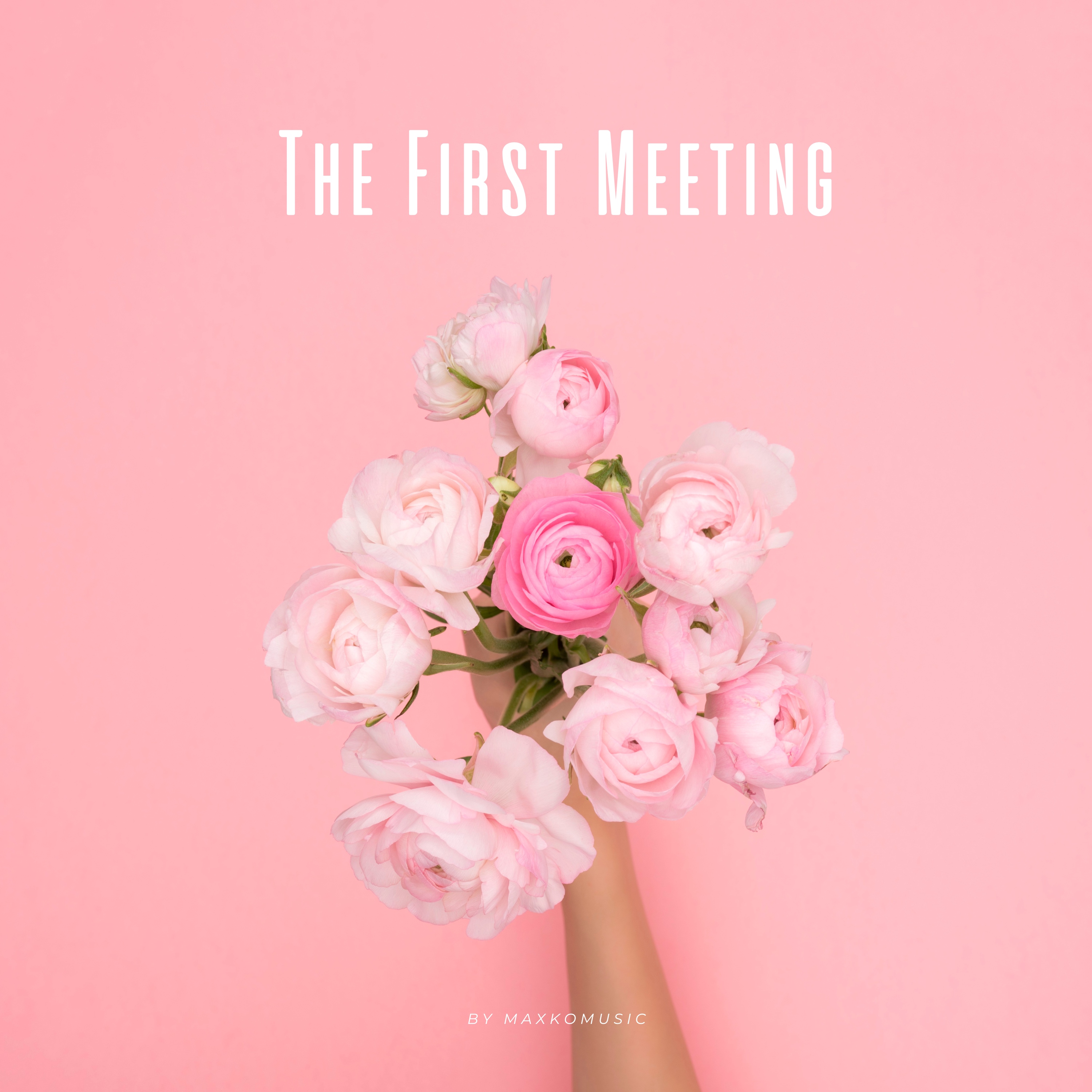 The First Meeting
