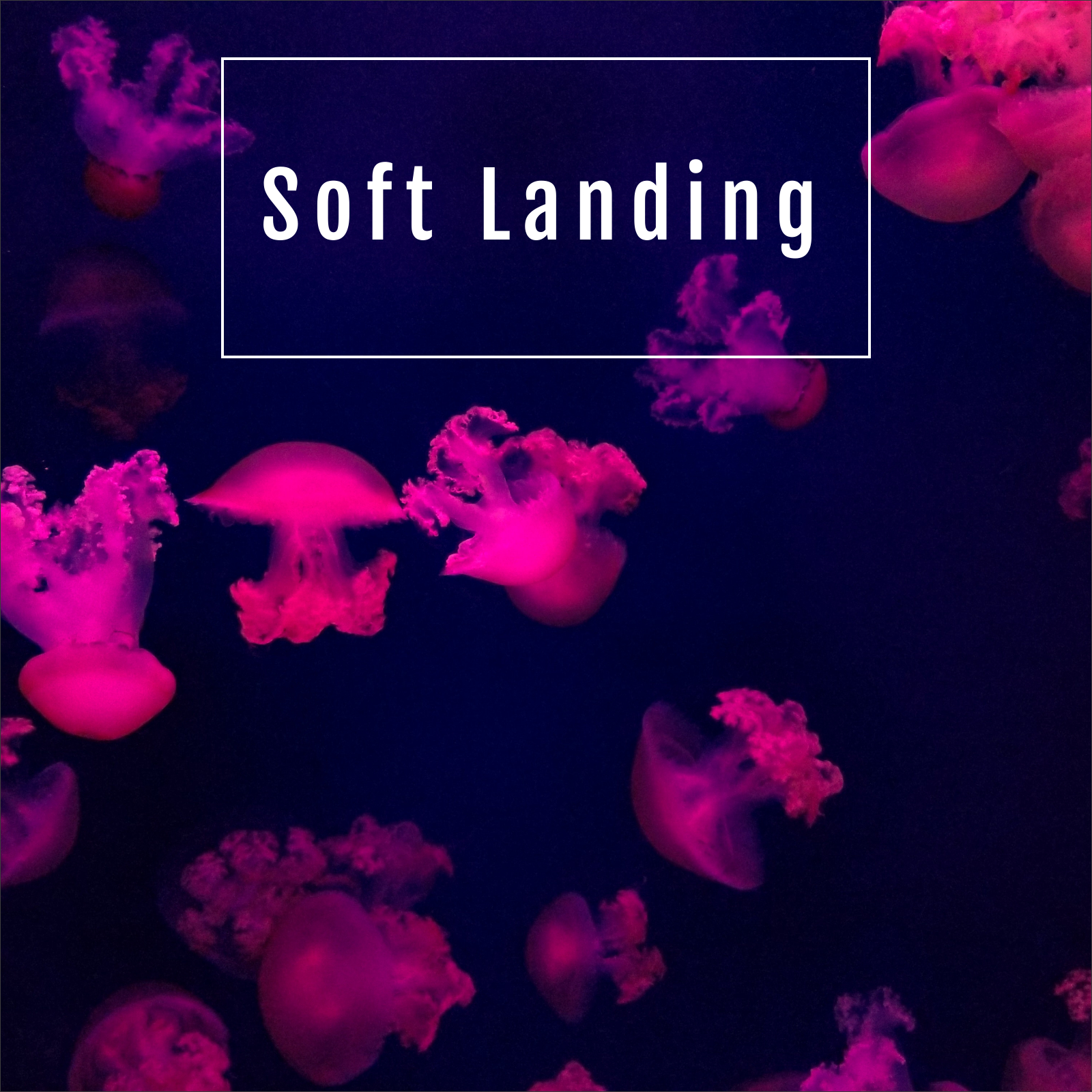 Soft Landing
