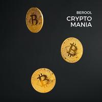 Crypto Mania - BEROOL