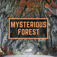 Mysterious Forest - WinnieTheMoog