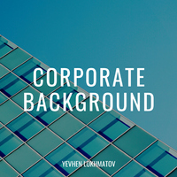 Corporate Background - Yevhen Lokhmatov