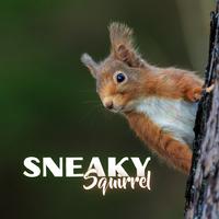 Sneaky Squirrel - Composer Squad