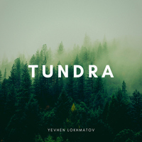 Tundra - Yevhen Lokhmatov