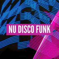 Nu Disco Funk - WinnieTheMoog