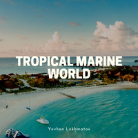 Tropical Marine World - Yevhen Lokhmatov
