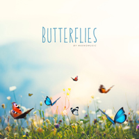 Butterflies - MaxKoMusic