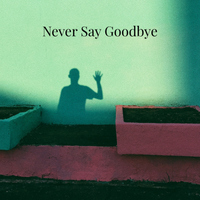 Never Say Goodbye - Enzo Orefice