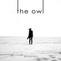 Whiteness - The Owl