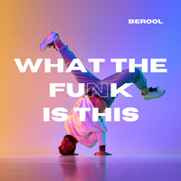 What The Funk Is This - BEROOL