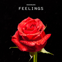 Feelings - EmanMusic