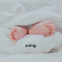 Lullaby - Enzo Orefice