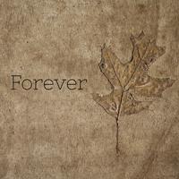 Forever - Enzo Orefice