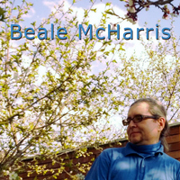 Bloomy Meadow - Beale McHarris