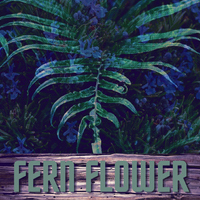 Fern Flower - Nargo Music