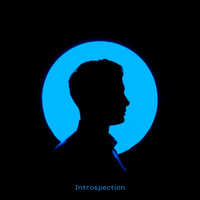 Introspection - Enzo Orefice