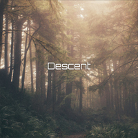 Descent - Enzo Orefice