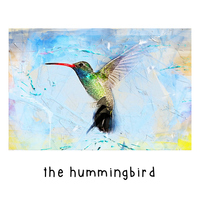 The Hummingbird - Bzur