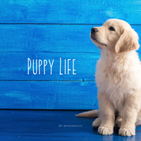 Puppy Life - MaxKoMusic