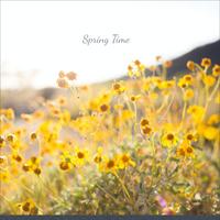 Spring Time - Enzo Orefice