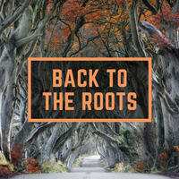 Back To The Roots - WinnieTheMoog