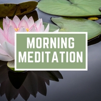 Morning Meditation Lotus Flower - WinnieTheMoog