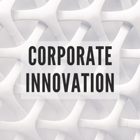 Modern Corporate Logo - WinnieTheMoog