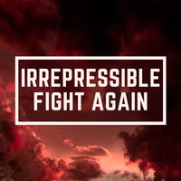 Irrepressible Fight Again - WinnieTheMoog