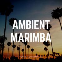 Ambient Marimba - Yevhen Lokhmatov