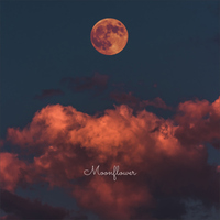 Moonflower - Enzo Orefice