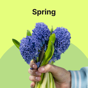 Cover for Spring Vibes post